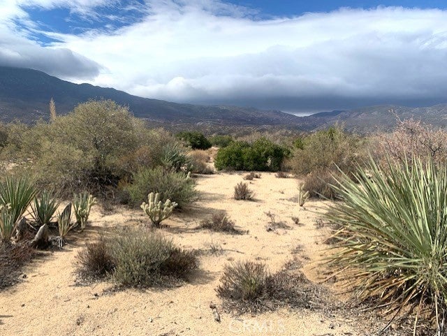 368 Palm Canyon Drive