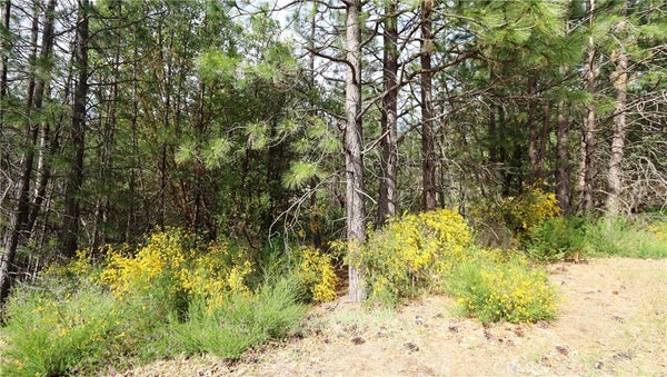 9072 FOX DR, COBB, CA 95426 - Image 2f7079bdff34f200b034bf128b937de2/321753691