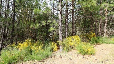 Photo of 9072 Fox Drive, Cobb, CA 95426 (MLS # LC26097544)