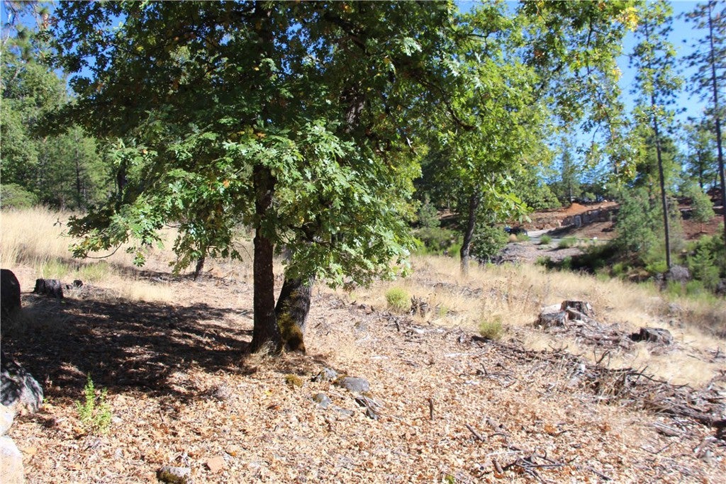 9072 Fox Drive