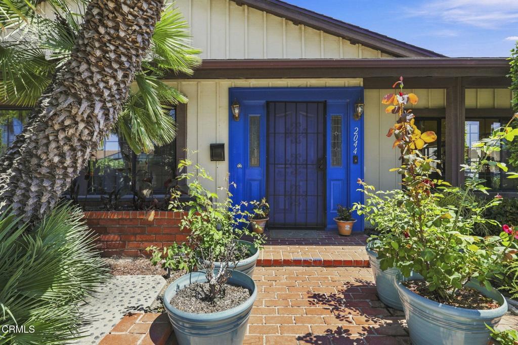 2044 Patricia Street