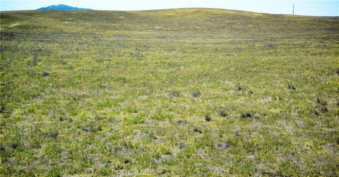 Tiny photo for 13250 Calipatria Road, Santa Margarita, CA 93453 (MLS # PI26049996)