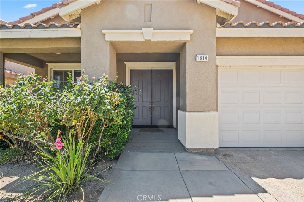 1814 Amargosa