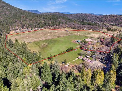 10536 Highway 175 Kelseyville CA 95451