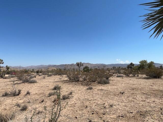 Discover this prime 4.3-acre parcel in Yucca Valley with access from both Buena Vista Drive and Anita Avenue. Enjoy breathtaking panoramic mountain views surrounded by beautiful, mature Joshua Trees.Located in a desirable area with multiple new construction homes nearby and close to utilities, this lot is the perfect spot to build your forever home. Just minutes from town, you'll have easy access to major stores like Walmart, Home Depot, and many more conveniences.Offered at an amazing price for the size and location -- don't miss out on this opportunity to own your own piece of the high desert!