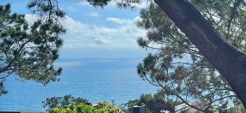 271 Ocean View Avenue Del Mar CA 92014