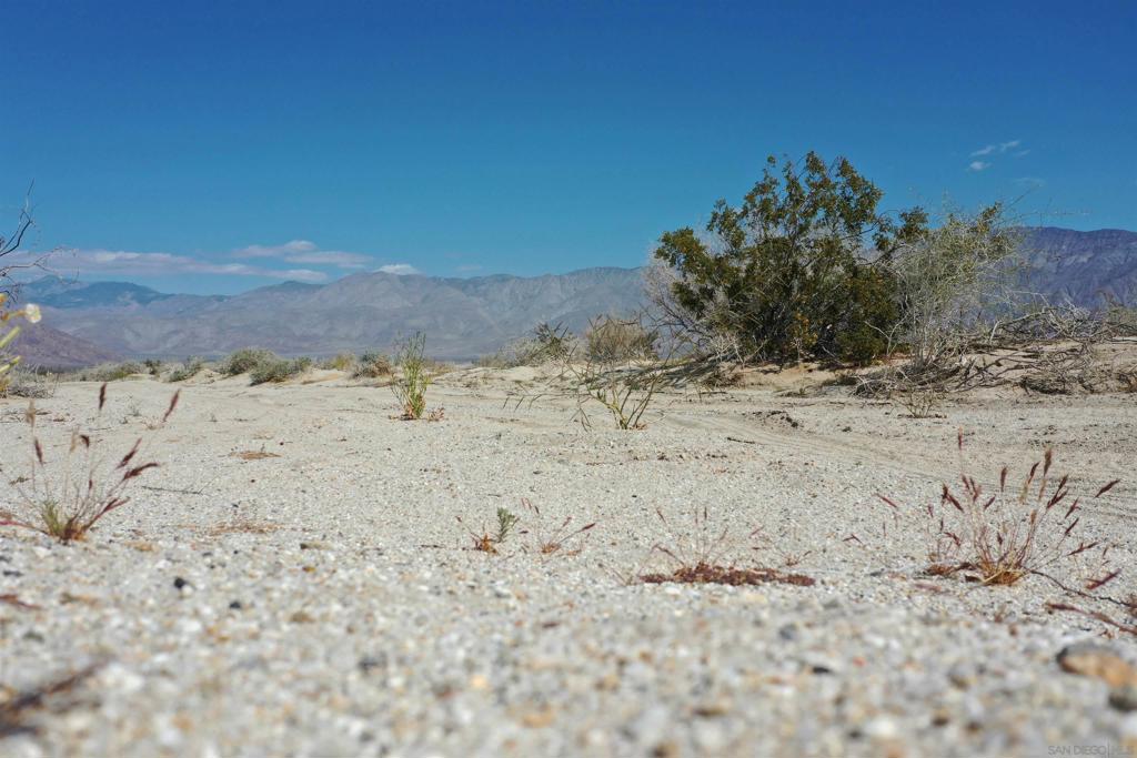 Borrego Salton Seaway