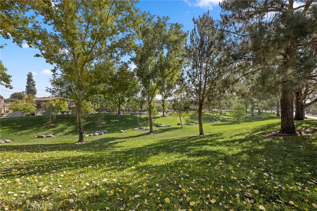 Stoneybrook (STNY) - Residential Lease