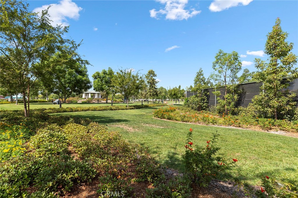 Stoneybrook (STNY) - Residential Lease