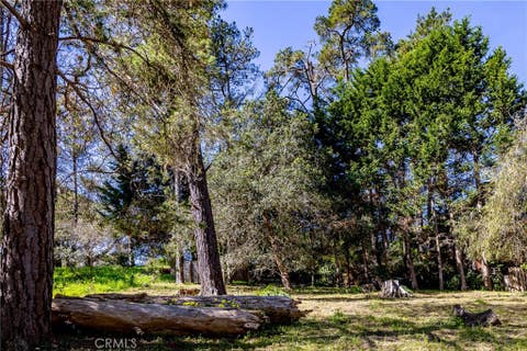 Tiny photo for 0 Spencer Street, Cambria, CA 93428 (MLS # SC26135015)