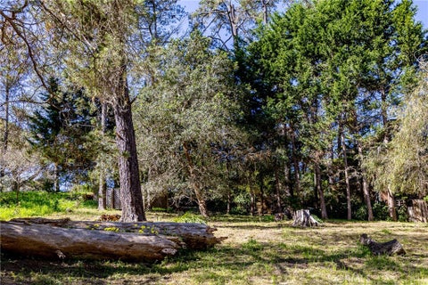 Tiny photo for 0 Spencer Street, Cambria, CA 93428 (MLS # SC26135015)
