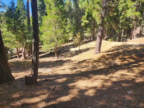 Photo of 0 Grass Valley, Lake Arrowhead, CA 92352 (MLS # 219152179DA)