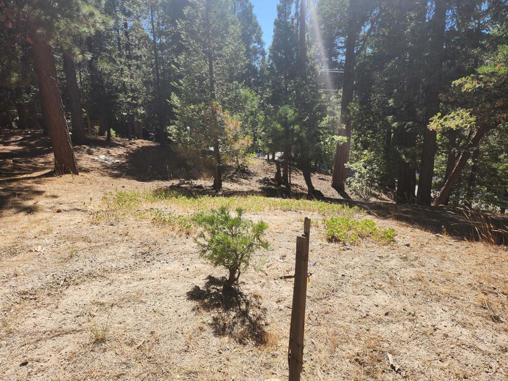 0 Grass Valley