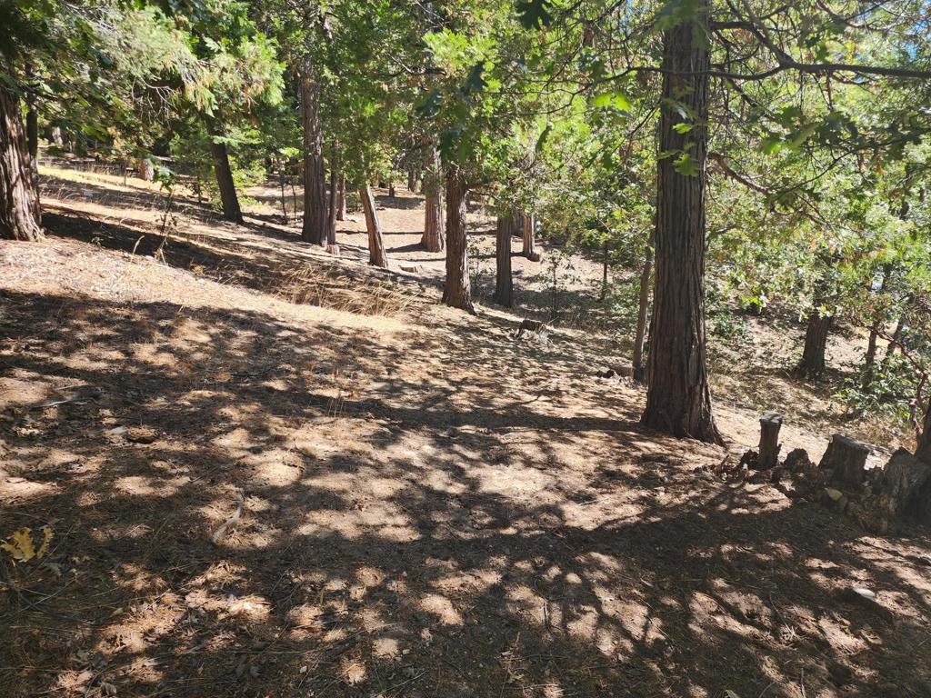 0 Grass Valley