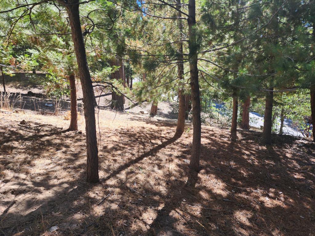 0 Grass Valley