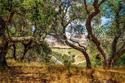 Tiny photo for 655 Mission Springs Road, Arroyo Grande, CA 93420 (MLS # SC26174111)