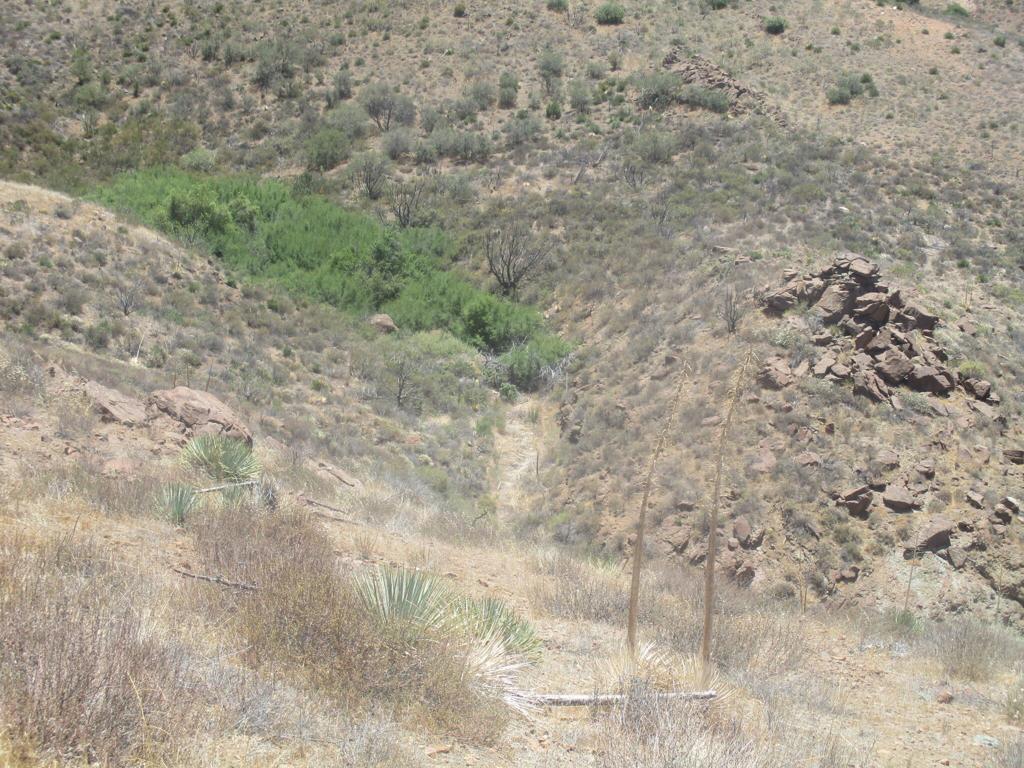 Not Applicable-1 - Land