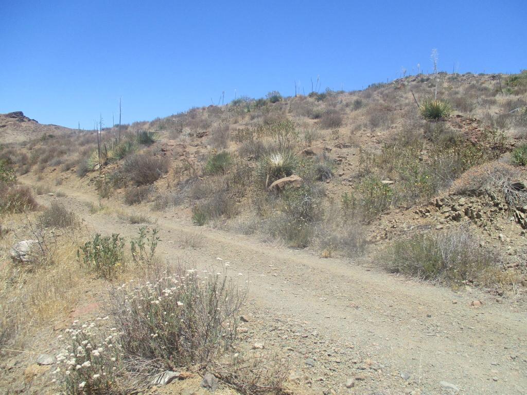 Not Applicable-1 - Land