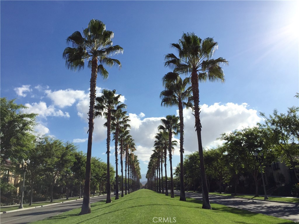 Stonetree (WDST) - Residential Lease