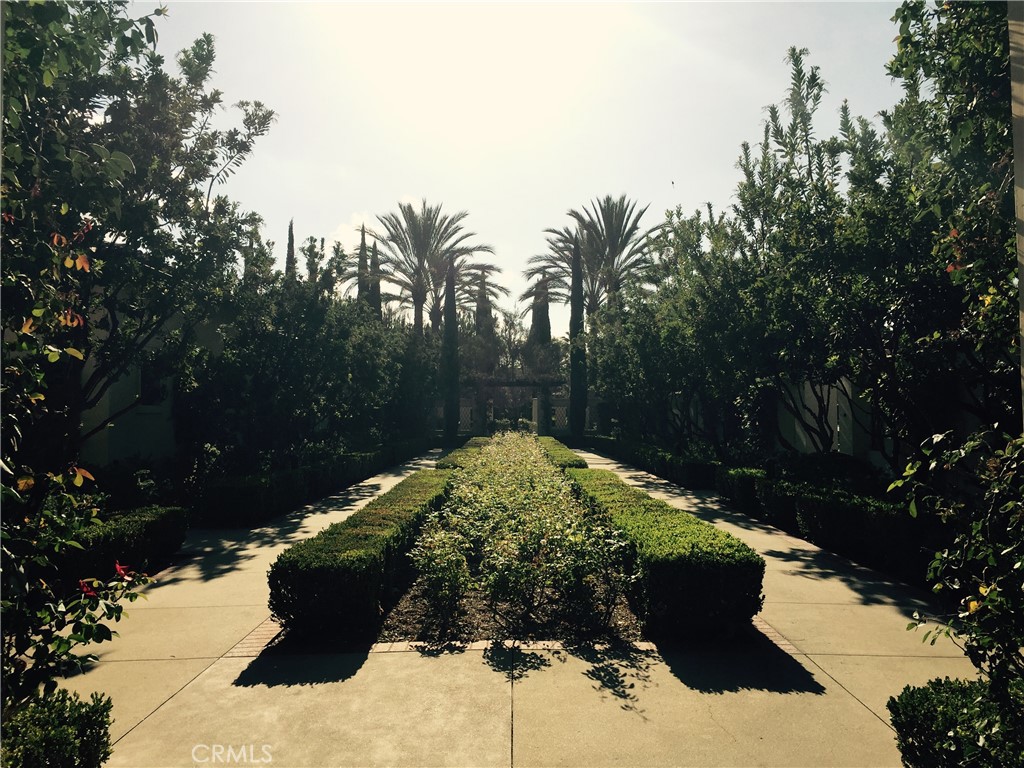 Stonetree (WDST) - Residential Lease