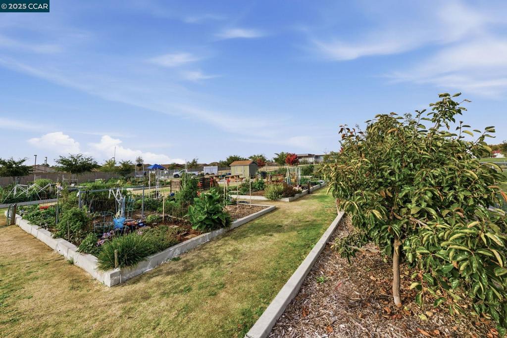 NATOMAS AREA - Residential