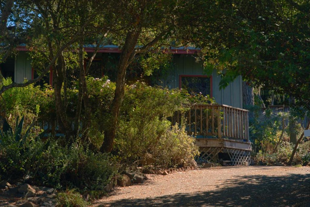 1019 Hillside Avenue