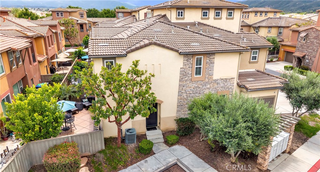 31035 Strawberry Tree