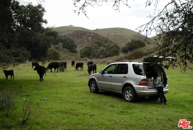 Lompoc, California 93436, United States, ,Land,Active,35255