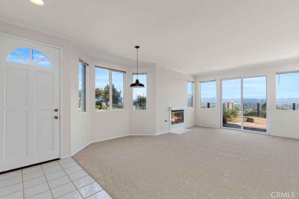 29242 Elba Drive