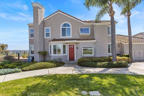 29242 Elba Drive Laguna Niguel CA 92677