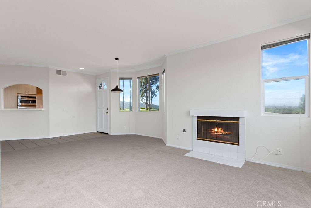 29242 Elba Drive