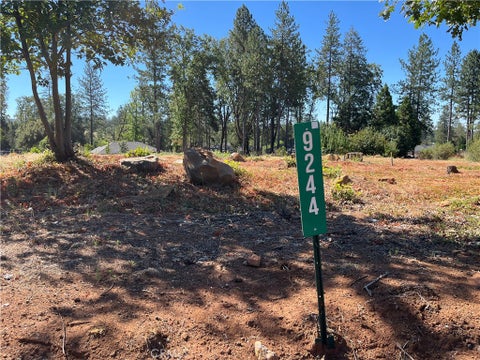 Photo of 9244 Skyway Road, Paradise, CA 95969 (MLS # SN26150672)