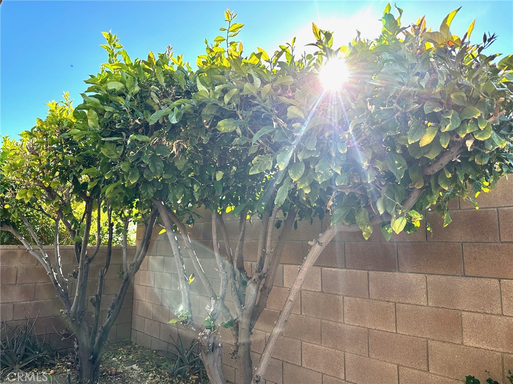 Dillion Estates (60045) - Manufactured In Park