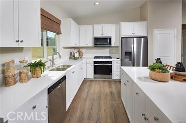 23583 Evening Primrose Court