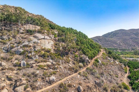 Tiny photo for 461 Meadowood Street, Fallbrook, CA 92028 (MLS # NDP2609626)