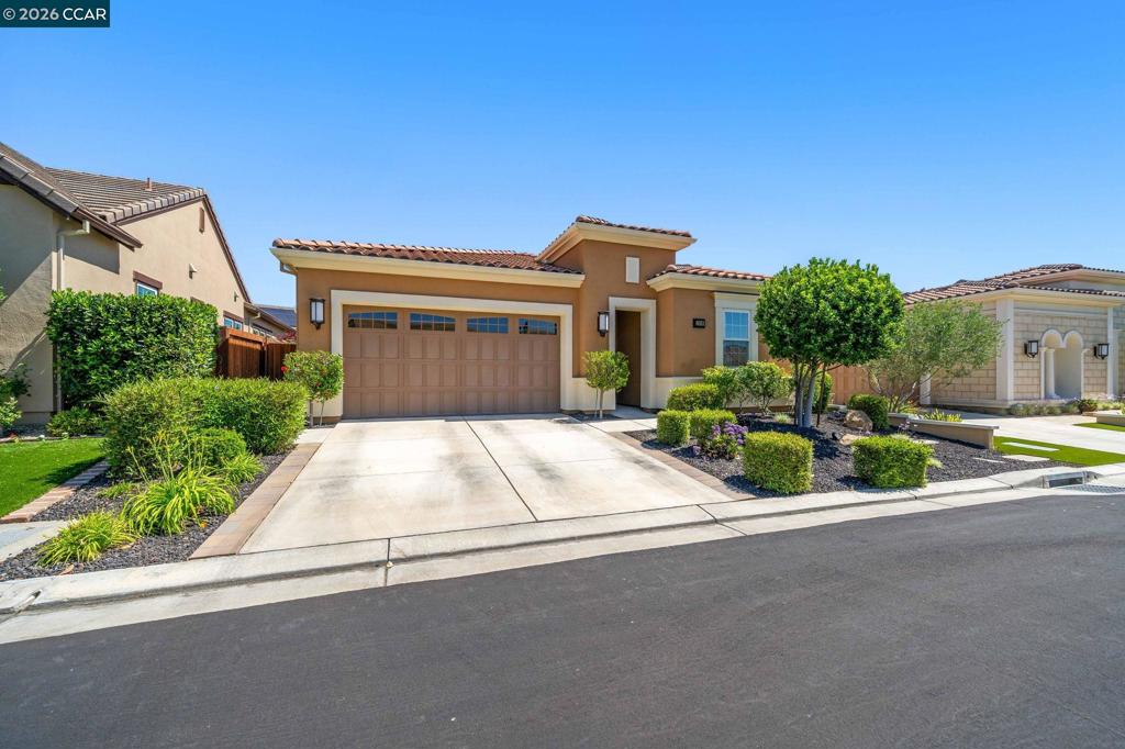 1929 Burgundy Lane