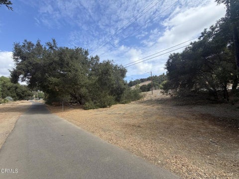 Photo of 0 Barbara Street, Oak View, CA 93022 (MLS # V1-39244)