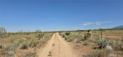 Photo of 0 175th St E W10, Llano, CA 93591 (MLS # SR26085007)