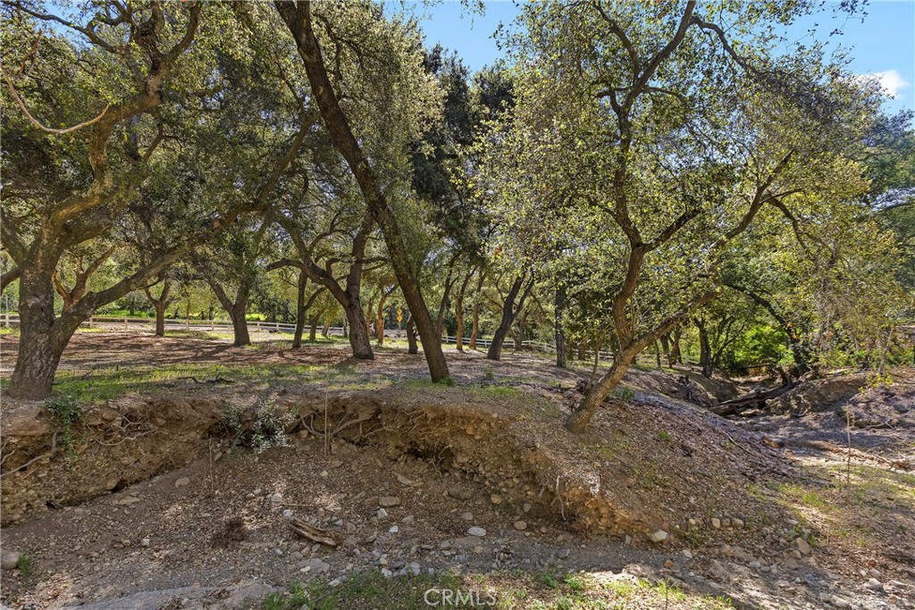 19411 Live Oak Canyon