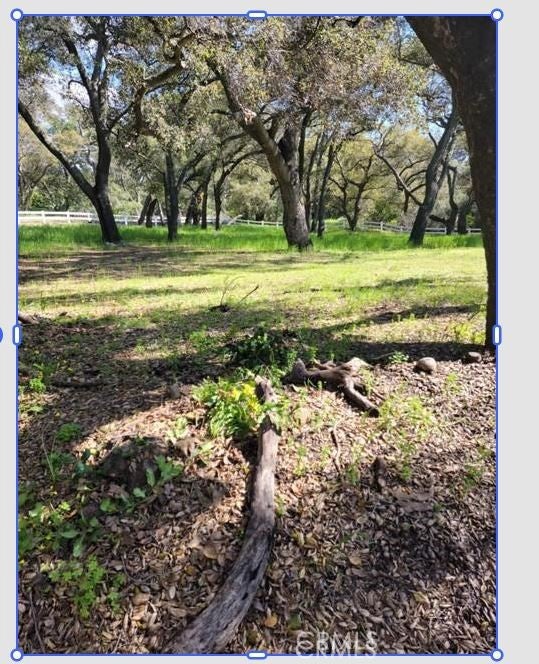 19411 Live Oak Canyon