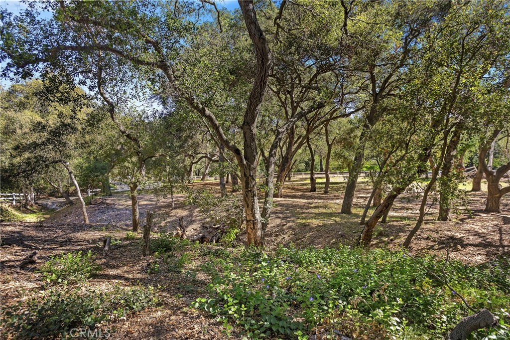 19411 Live Oak Canyon