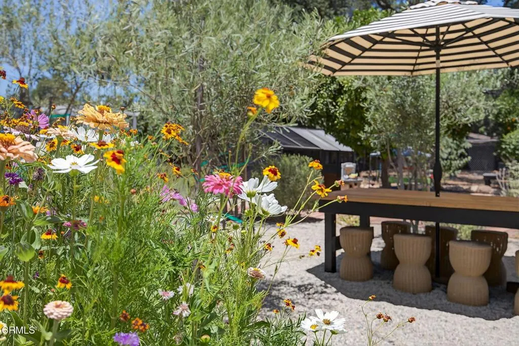 Ojai, California 93023, United States, 3 Bedrooms Bedrooms, ,2 BathroomsBathrooms,Residential,Active,177734