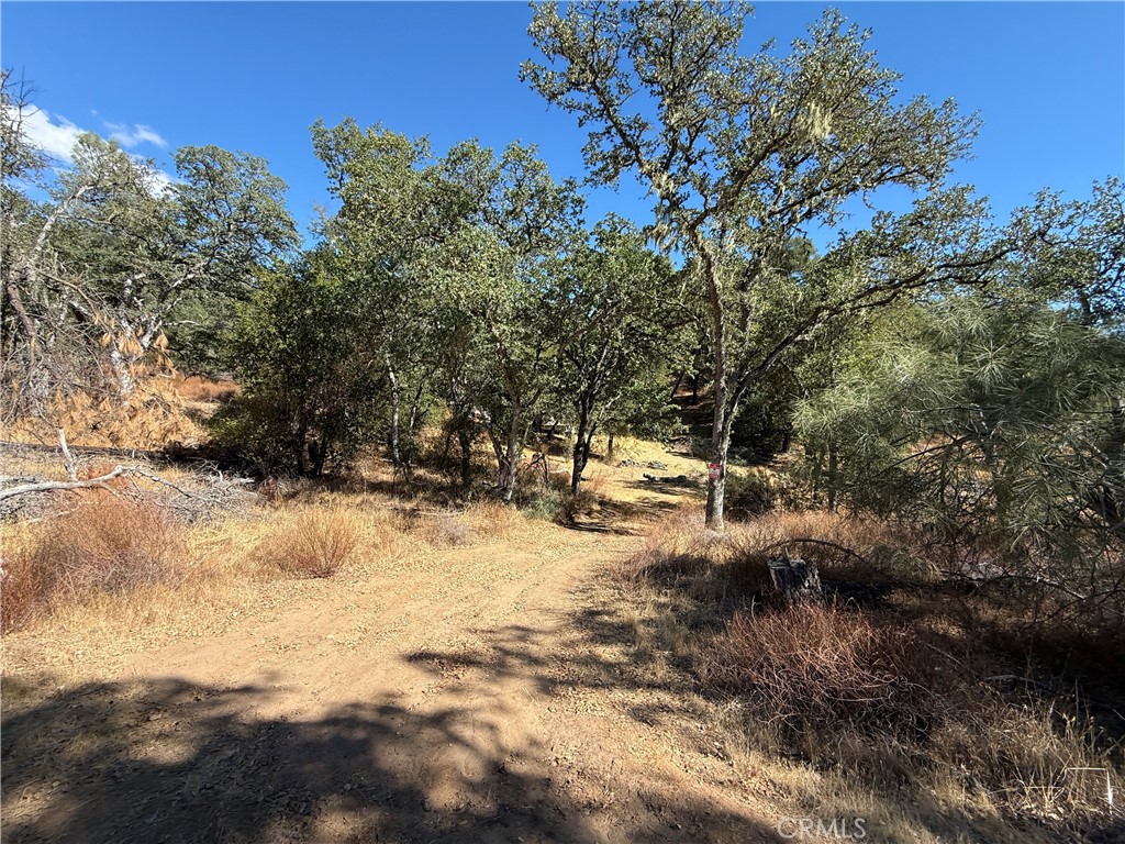 Don’t miss this unique opportunity to own a 50% undivided interest in a beautiful, oak-studded 10-acre parcel in the Bryson Hesperia area. This offering includes two 20-foot shipping containers and a camper, providing a great start for your off-grid retreat. The co-owner’s base camp is located on the opposite side of the property, offering privacy as the two sites are not visible to one another. Abundant wildlife roams the area, including deer, wild hogs, turkey, quail, dove, and even the occasional band-tailed pigeon—perfect for nature lovers and outdoor enthusiasts. This is true off-grid living with no current power, water, or septic. However, with the proper permits, you have the option to drill a well and install a septic system. The property is available for viewing at any time.