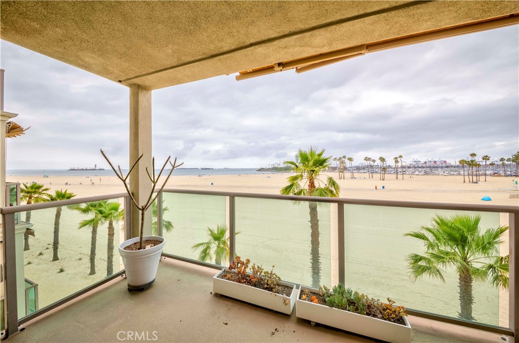 1000 E Ocean Boulevard 307