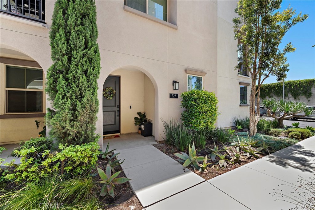 Canvas - Residential