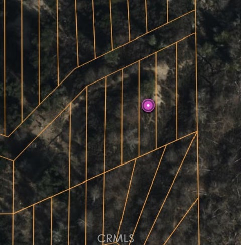 Photo of 0 Lignum Vitae Drive, Cedar Glen, CA 92321 (MLS # HD26226456)