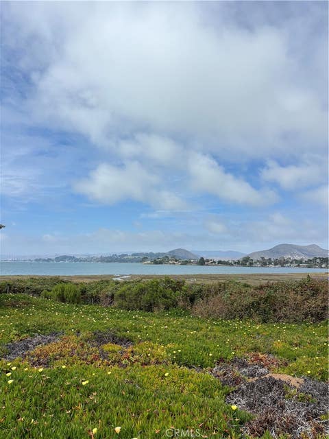 Tiny photo for 432 Mitchell DR, Los Osos, CA 93402 (MLS # SC26180278)