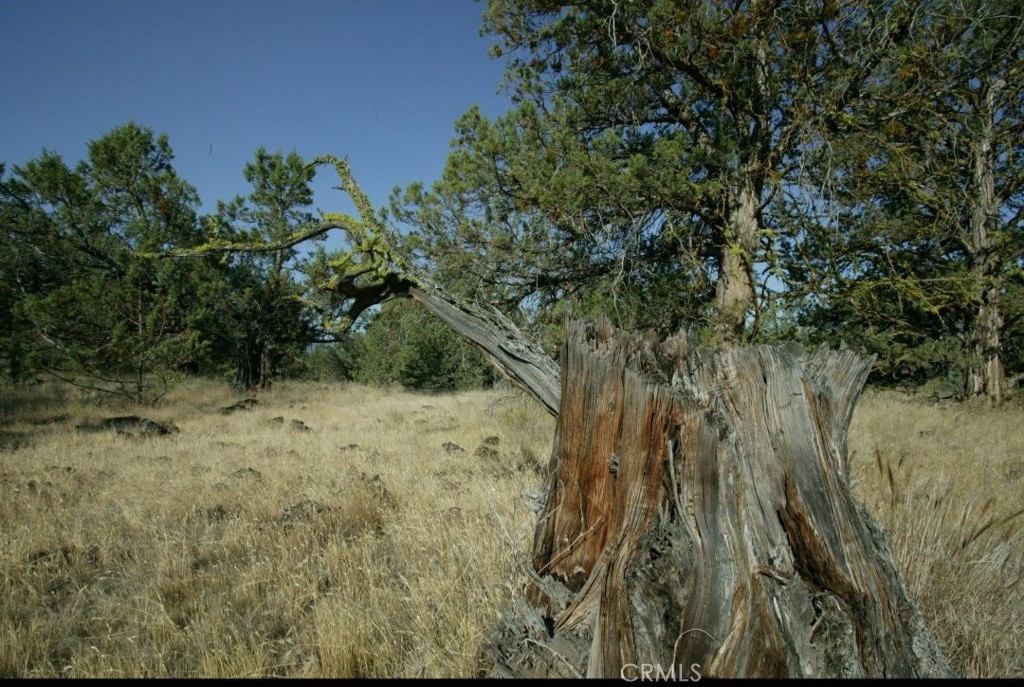 0 99xx BIG SPRINGS Road