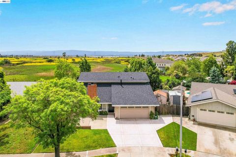 Photo of 8135 Merion Dr Dr, Newark, CA 94560 (MLS # 41131293)