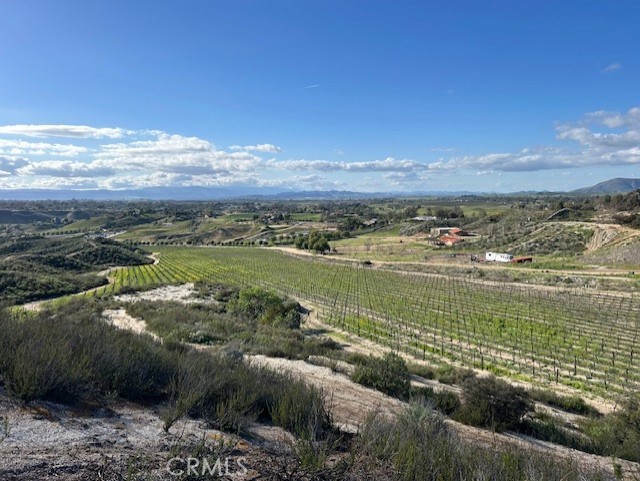 Located in Temecula Wine Country in the community of Glen Oak Hills with incrediable views over looking Leoness Vineyards. Welcome to over 27 acres of land and privacy to build your dream home. This property is one of the last large parcels left in Temecula. The views are breathtaking. Included with the sale of the land are grading plans ready to be submiitted to the HOA and the county. House plans are ready to be submitted to the HOA and county after HOA approves. House plan design is a Classy Modern design at 3582 square feet main house with 4 bedrooms each with a private bath and a powder room, Garage is 1183 square feet 4 car gargae. Main House pad design is .76 acres in design and guest house pad is .25 acres in design per the grading plan. The perk test has been done and the ERP/environmental map has been approved per current grading plans. This lot is approved for a 2nd unit, square feet for guest home can be up to 50% of the primary home at 1,791 sq ft guest home if kept with current home design/size.
There are Pool plans that will convey with the sale and include - Site plan, renderings and engineering will be provided if/when the design is approved. (Full set of plans required for permit approval)
Water and Power are at street by property. Check out supplements for the plans. This is a very special property. Seller has put in all the time consuming work ready for a buyer to get the benefit.